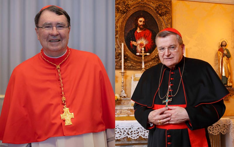 Die Kardinäle Pierre und Burke als Collage zusammenkopiert
